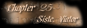 Chapter 25 - Siste, Viator (Stop, traveler)